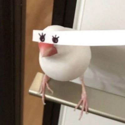 搞怪头像/神说爱意逃不过(图9)