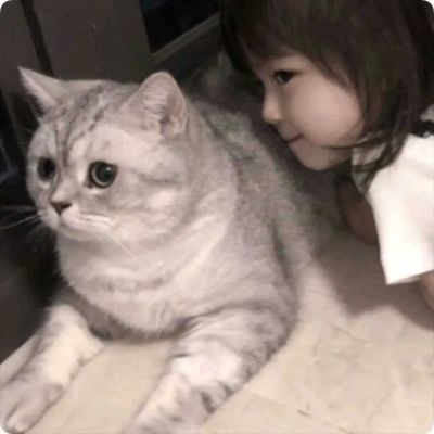 ♡对象不是人系列2./(图1)