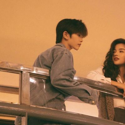 暖色系列，y小柯基(图3)