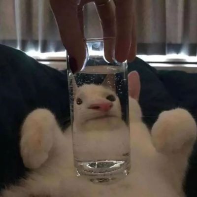 搞怪头像/神说爱意逃不过(图8)