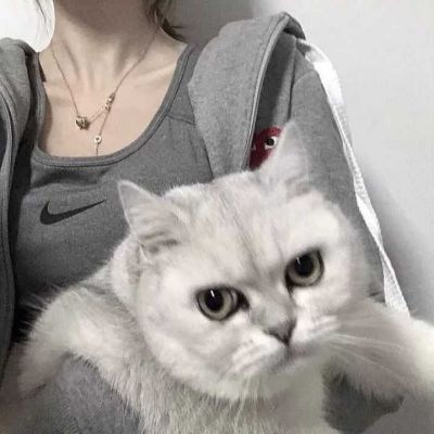 ♡对象不是人系列2./(图9)