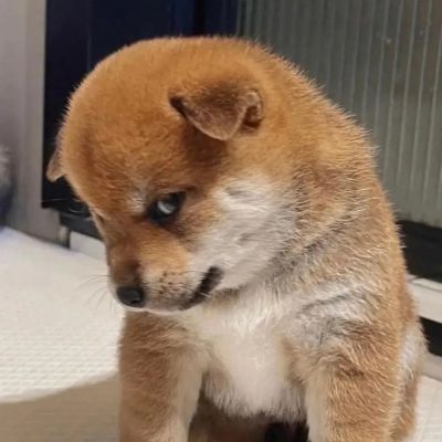 不被情绪裹挟才是高级的自由(图2)