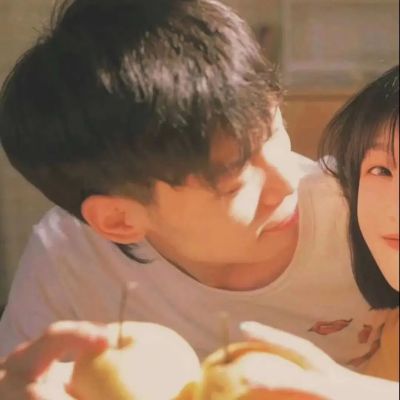 暖色系列，y小柯基(图6)