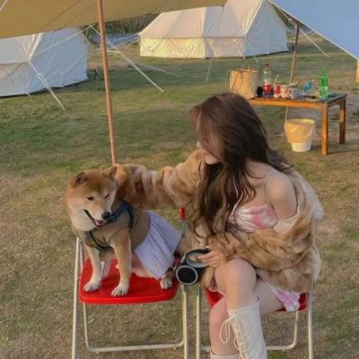 y小柯基，门前若无南北路，此生可免别离情。(图9)