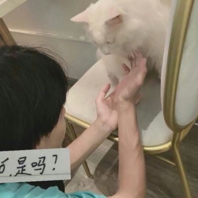 ins小清新文艺范男头总会相逢的就像山川河流就像万河归海(图4)