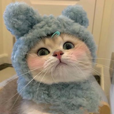 我们拉钩，秋天陪你冬天也陪你✨(图1)