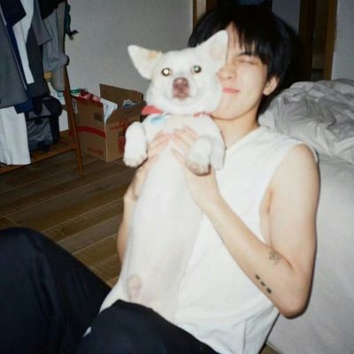 我坐在落日里 望着白鸟衔玫瑰飞去。(图4)