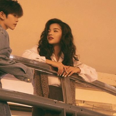 暖色系列，y小柯基(图4)