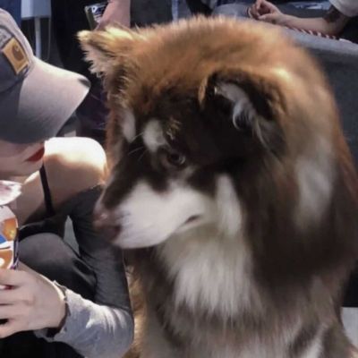 ♡对象不是人系列3./(图2)