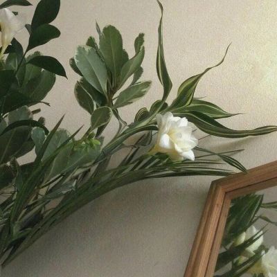 绿色壁纸‖别害怕，宇宙都温柔(图7)