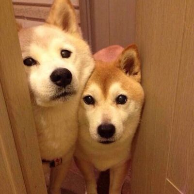 可爱(๑• . •๑)(图5)