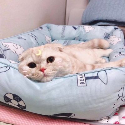 可爱(๑• . •๑)(图2)