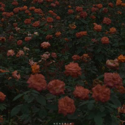 沈林/ Important.(图6)