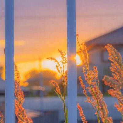 我:标题你在哪里，我咋想不起来(图4)