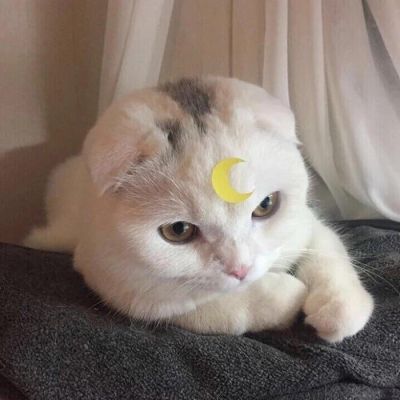 可爱(๑• . •๑)(图7)