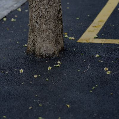 沈林/ Important.(图4)