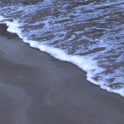 沈林/ Important.(图7)