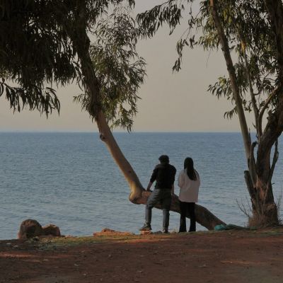 沈林/ Important.(图1)