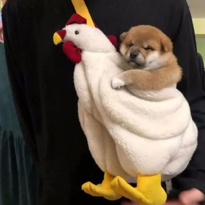 可爱(๑• . •๑)(图9)