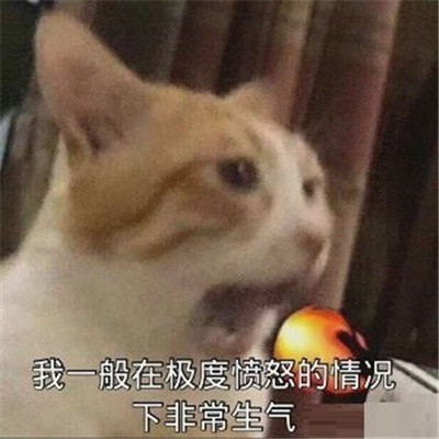 很有趣味的很火的个性表情搞笑 这福气给你要不要啊(图3)