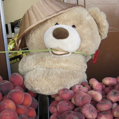 真正的热恋永远没完结篇(图8)