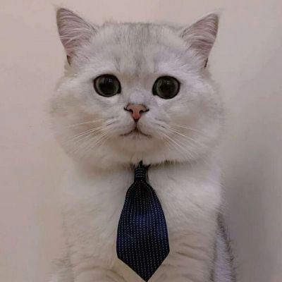 情侣头像～～(图2)