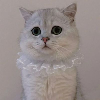 情侣头像～～(图1)