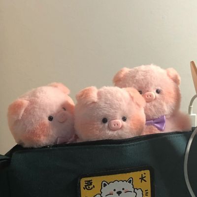 真正的热恋永远没完结篇(图3)