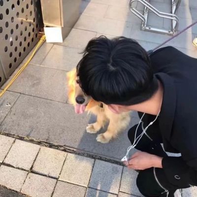 用野草纪念我吧 玫瑰太贵了 野草遍地都是(图4)