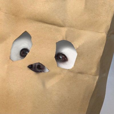 不经意间遇见的可爱比落日还要温柔(图1)