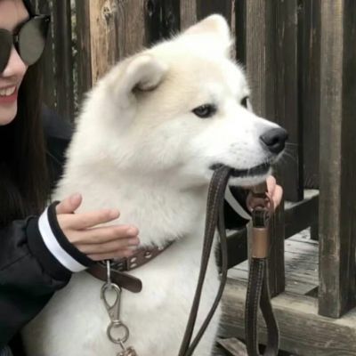 往心里装一片大海和花海，再多装一点少女心和爱(图4)