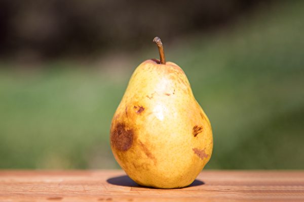 变黑、变烂的水果，哪些情况还能吃、哪些情况不能吃？(Shutterstock)