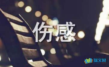 2021年实用的伤感个性句子汇总70句