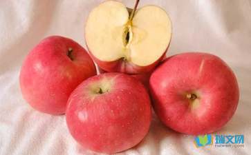 保持苹果不变色的妙招650字