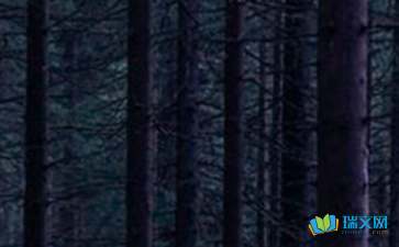 迷雾森林作文3000字范文