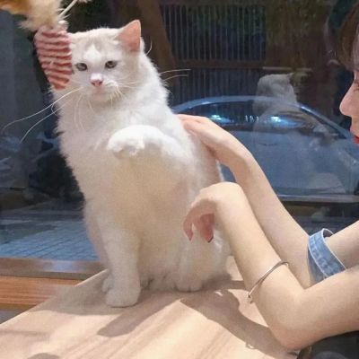 Share｜你是云层里隐约可见的星光(图7)