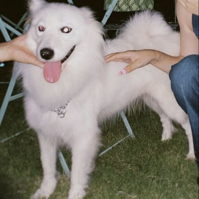 比起拥有我更害怕失去(图9)