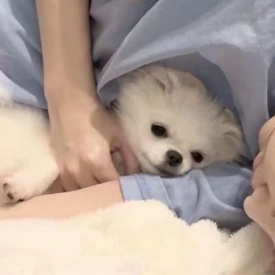 Share｜你是云层里隐约可见的星光(图6)