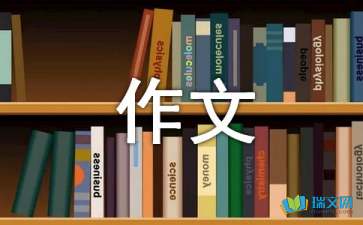 走进音响世界500字作文5篇