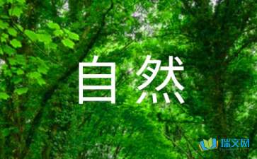 感受大自然的初二作文