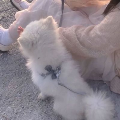 Share｜你是云层里隐约可见的星光(图9)