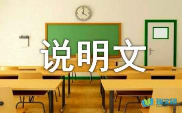 说明文作文批改评语