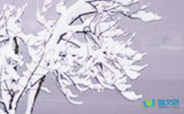 形容小雪节气来临简短句子(精选60句)