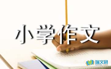 【热】我最敬佩的一个人小学作文