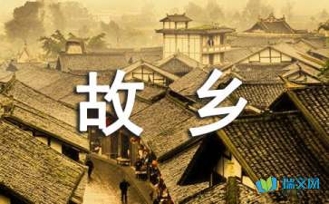 小学二十年后回故乡作文汇编八篇