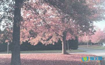 一次有意义的秋季考察作文