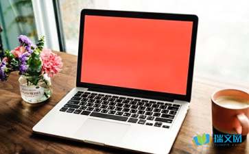 电脑说明文作文600字3篇