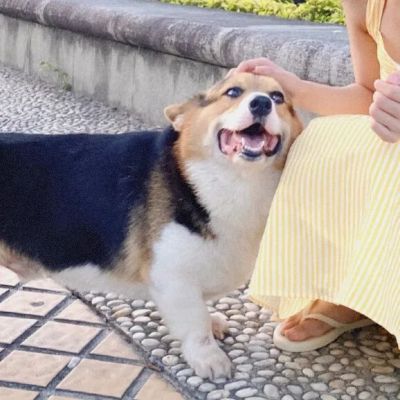 好想关心你可惜你不生病(图10)