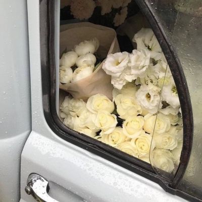 四季长春在，故人已不再