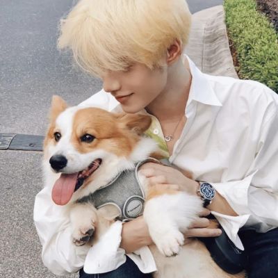 ins小清新文艺范男头没准备留后路因为我的选择只有你(图7)